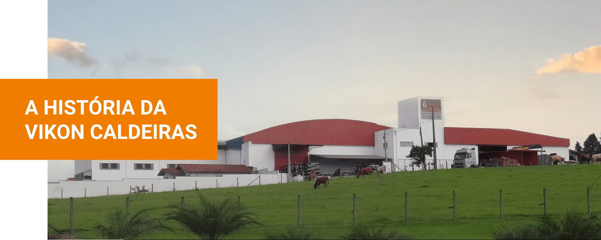 Conheça a história da Vikon Caldeiras